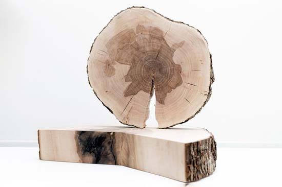 Themenfelder - Schwerpunkte Beratung