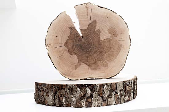 Themenfelder - Schwerpunkte Beratung